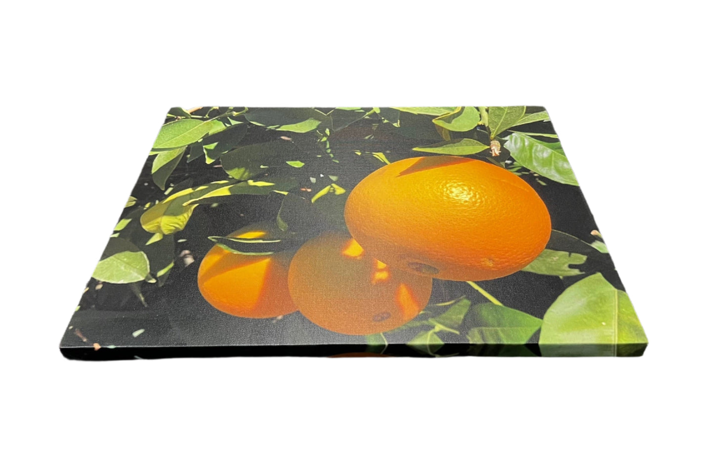 ORANGES - 16x20 - CANVAS PRINT