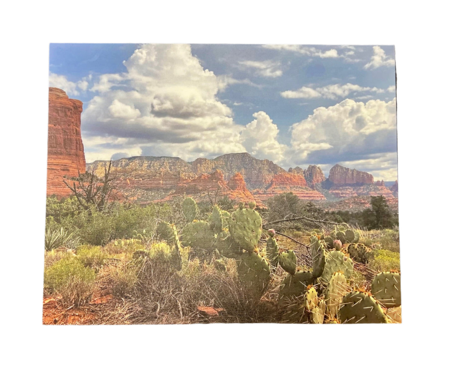 SEDONA CACTUS - 16x20 - CANVAS