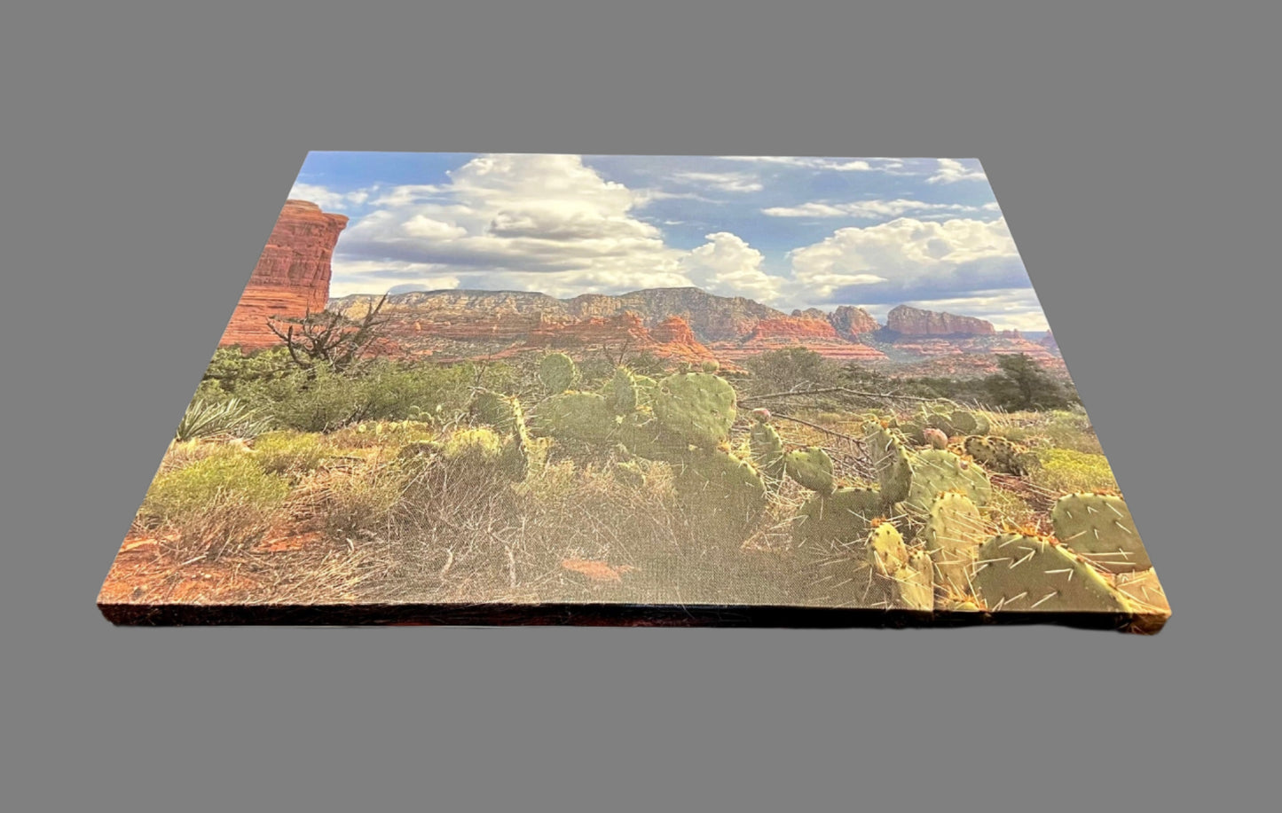 SEDONA CACTUS - 16x20 - CANVAS