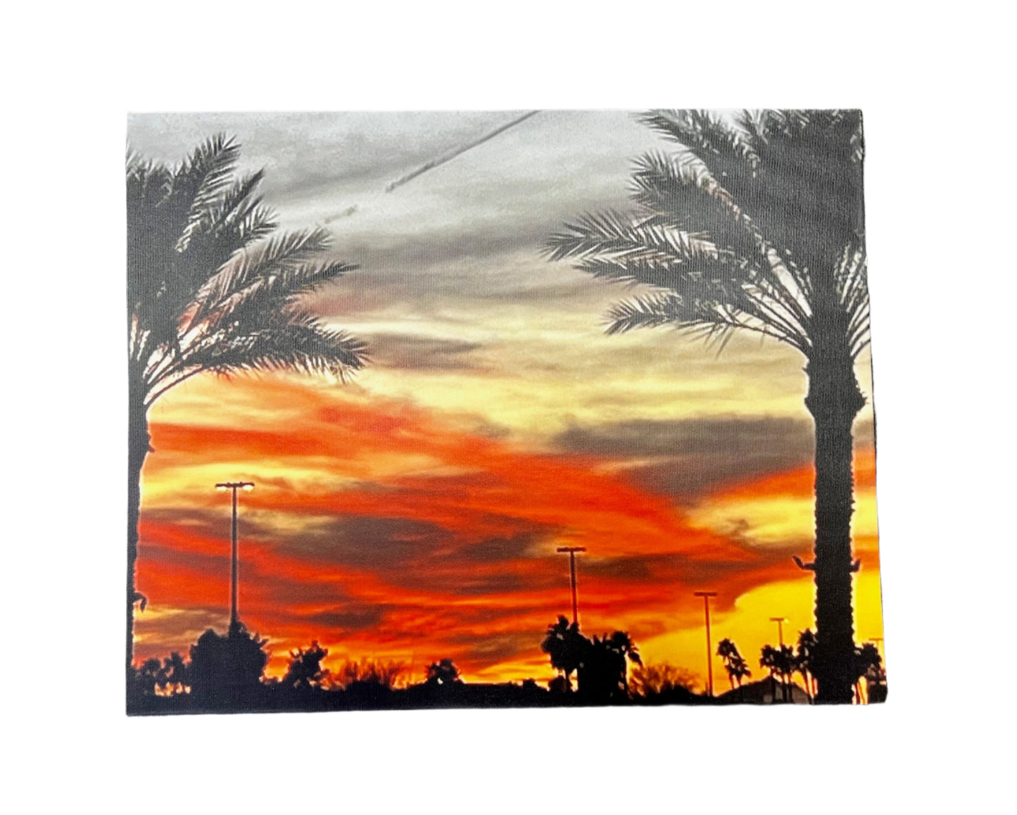 PALM TREE SUNSET - 16x20 - CANVAS