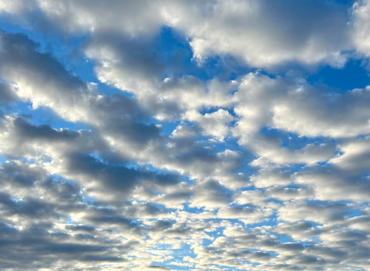 CLOUDS IN BLUE SKY- 16x20  - CANVAS PRINT