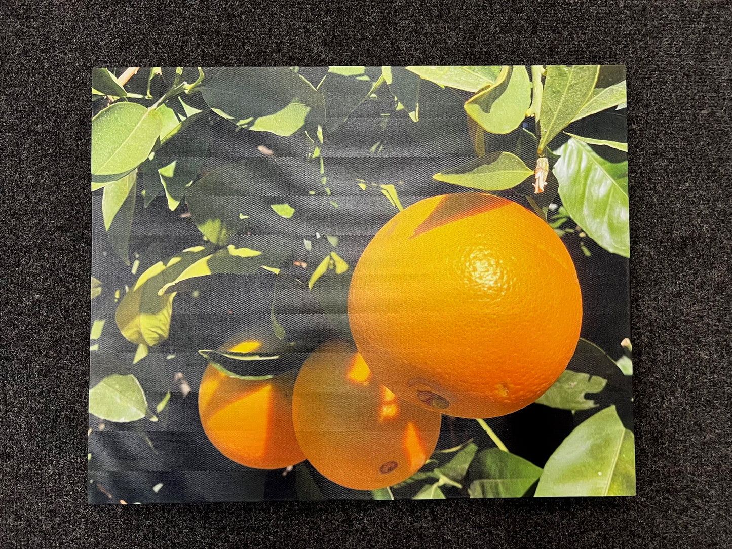 ORANGES - 16x20  - CANVAS PRINT